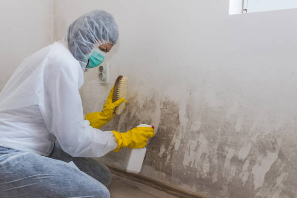 Mold Removal for HVAC Installations in Sauk City, WI